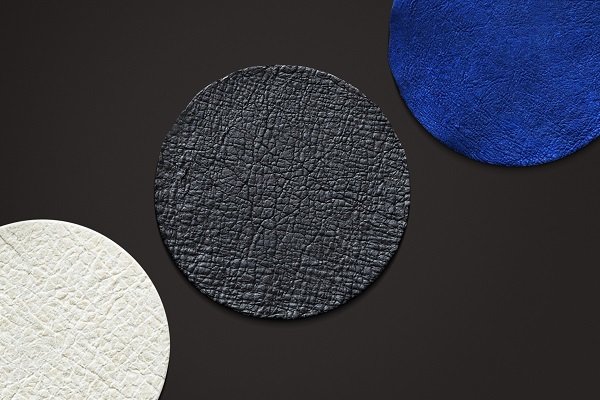 With the help of biotechnology, the first artificial leather was made quite similar to the animal leather of the world