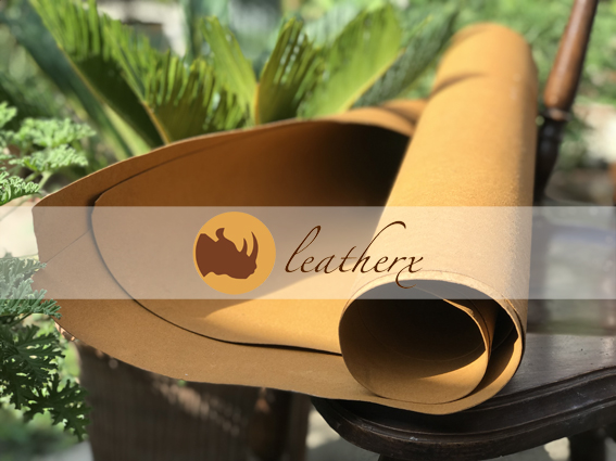 leatherx 